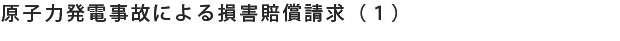 原子力発電事故による損害賠償請求（１）