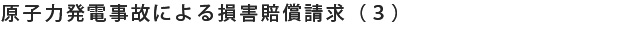 原子力発電事故による損害賠償請求（３）